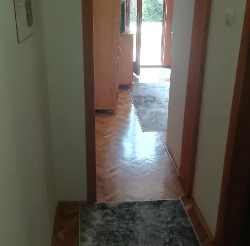 公寓 Vila Zoran 兹拉蒂博尔