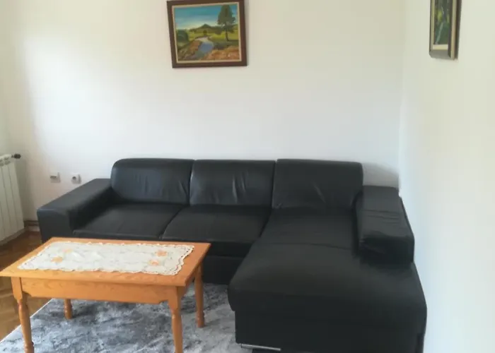 Vila Zoran 公寓 兹拉蒂博尔