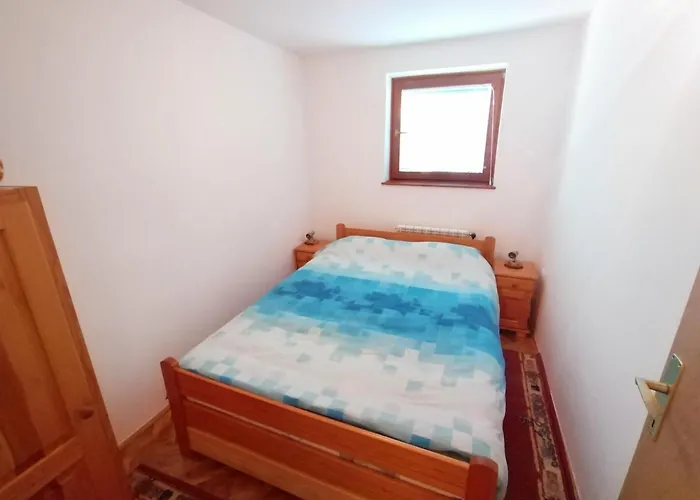 公寓 Vila Zoran 兹拉蒂博尔